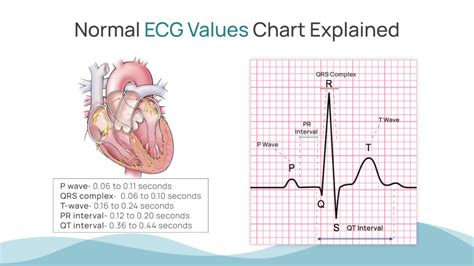 normal ecg report|normal ecg values table.